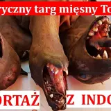 W jakim kraju jedzą psy i dlaczego ta tradycja budzi kontrowersje