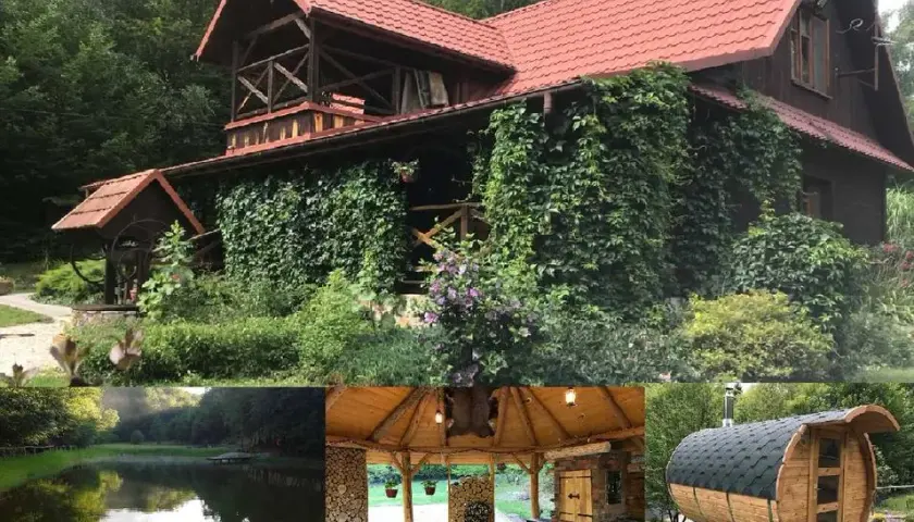 Gdzie na grzyby z noclegiem? Odkryj idealne miejsca na wypoczynek